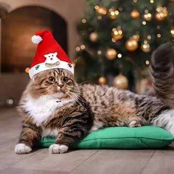 Pet Christmas Costume with Santa Hat and Elk Design