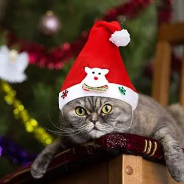 Pet Christmas Costume with Santa Hat and Elk Design