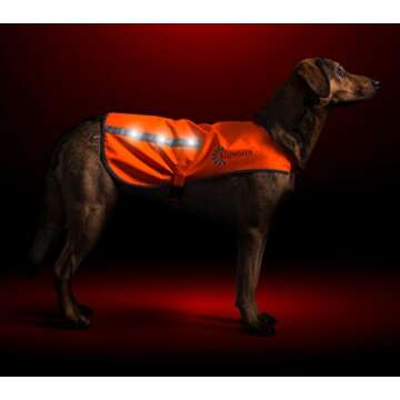 Illumiseen LED Dog Hunting Vest | Orange Safety Jacket with Reflective Strips & USB Rechargeable LED Lights | Increase Dog’s Visibility When Walking, Running, Training Outdoors (Large, Orange)
