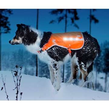 Illumiseen LED Dog Hunting Vest | Orange Safety Jacket with Reflective Strips & USB Rechargeable LED Lights | Increase Dog’s Visibility When Walking, Running, Training Outdoors (Large, Orange)