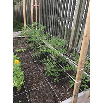 IRRIGATION-MART 6300FT Tomato Tying Garden Twine for Gardening