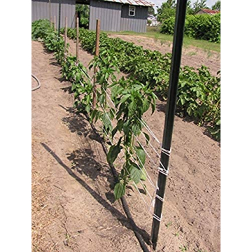 IRRIGATION-MART 6300FT Tomato Tying Garden Twine for Gardening