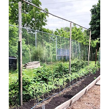 IRRIGATION-MART 6300FT Tomato Tying Garden Twine for Gardening