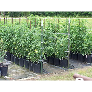 IRRIGATION-MART 6300FT Tomato Tying Garden Twine for Gardening