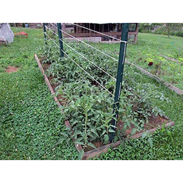 IRRIGATION-MART 6300FT Tomato Tying Garden Twine for Gardening