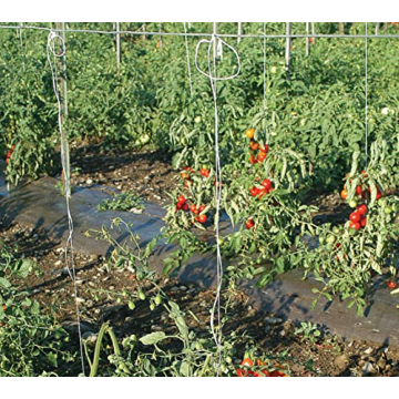IRRIGATION-MART 6300FT Tomato Tying Garden Twine for Gardening