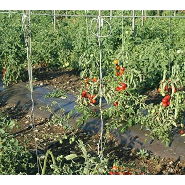 IRRIGATION-MART 6300FT Tomato Tying Garden Twine for Gardening