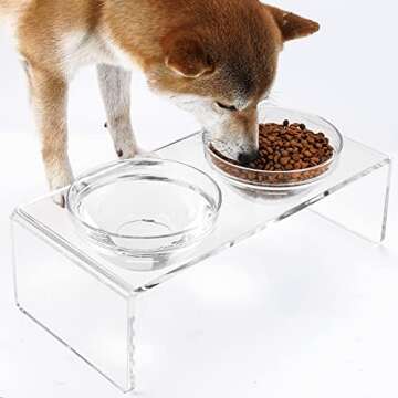 Acrylic Elevated Dog Cat Bowls Pet Feeder Double Bowl Raised Stand Comes with 2 Removable Glass Bowl...