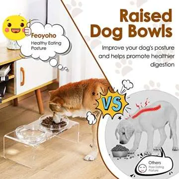 Acrylic Elevated Dog Cat Bowls Pet Feeder Double Bowl Raised Stand Comes with 2 Removable Glass Bowls and 2 Stainless Steel Bowls.Perfect for Medium Dogs, 5.5" Tall