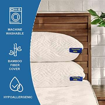 Enther Shredded Memory Foam Bed Pillows, Queen (Pack of 1), White