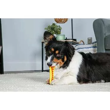 Hartz Chew 'n Clean Dental Duo Dog Treat & Chew Toy, Color Varies, Medium, 3 Pack