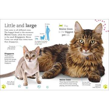 Everything Book of Cats and Kittens for Kids
