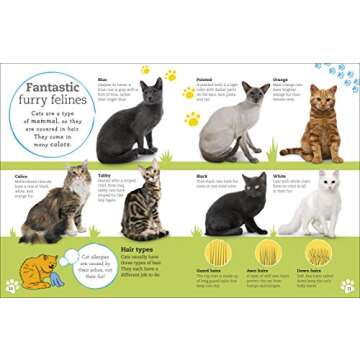 Everything Book of Cats and Kittens for Kids