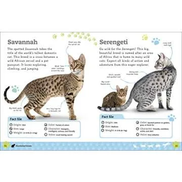 Everything Book of Cats and Kittens for Kids