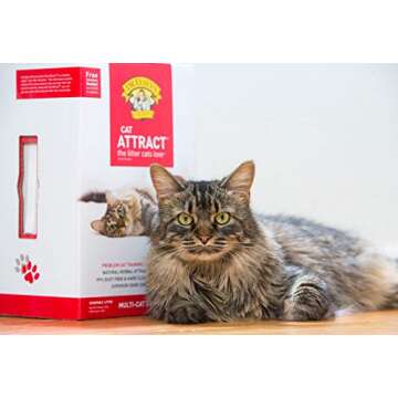 Precious Cat Cat Attract Problem Cat Training Litter, 20 pound box