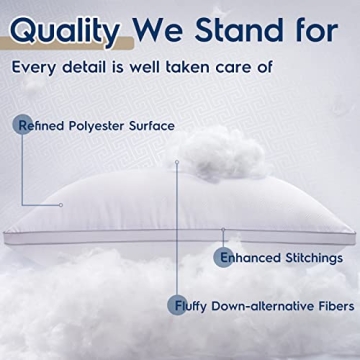 Viewstar Queen Size Pillows - Soft, Supportive & Washable