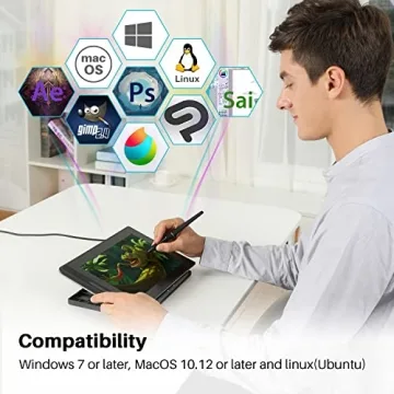Huion KAMVAS Pro 12 Artist Drawing Tablet for Creative Talents
