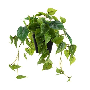 LuckyGreenery Artificial Scindapsus Aureus for Home Decor