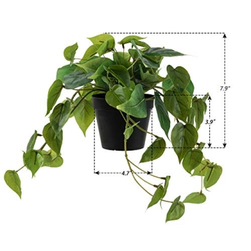 LuckyGreenery Artificial Scindapsus Aureus for Home Decor