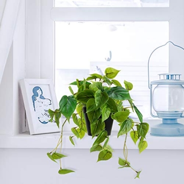 LuckyGreenery Artificial Scindapsus Aureus for Home Decor