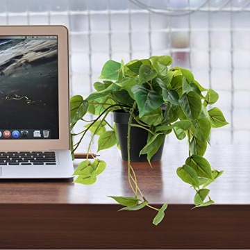 LuckyGreenery Artificial Scindapsus Aureus for Home Decor