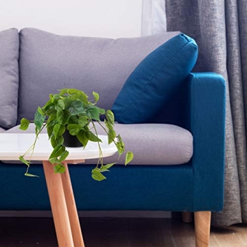 LuckyGreenery Artificial Scindapsus Aureus for Home Decor