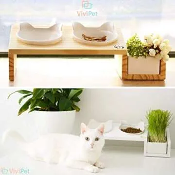 ViviPet Elevated Cat Feeder with Ceramic Bowls & Stand