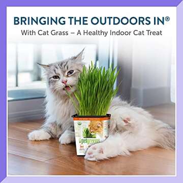 100% Certified Organic Fresh Cat Grass 3-Pack. Natural Cat Treat