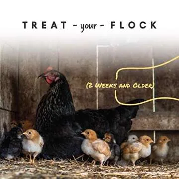 Manna Pro Chick Supplies Treat for Happy Chicks