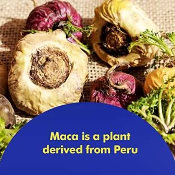 Santo Remedio Maca, Helps Support Healthy Energy Levels, Dietary Supplement, 7500 mg per Serving, Vegetarian, No Artificial Flavors, No Artificial Colors, 90 Capsules, 90 Doses