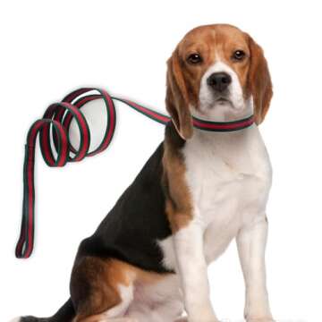 Premium Dog Collar, Cute Dog Collars Luxury Style, Durable Pet Collars and Dog Leash with Metal Buckle Safety for Puppy Small Dogs