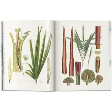 The Book of Palms: A Stunning Botanical Treasure