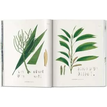 The Book of Palms: A Stunning Botanical Treasure