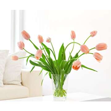 DESIGN MASTER 661 Sprays, Petal Proffer, 12 Ounce