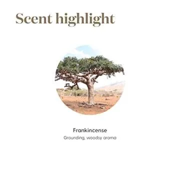 Frankincense Essential Oil 5ml by Young Living