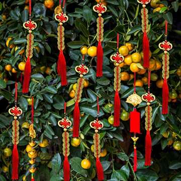 Supla 16 Pcs Chinese Lucky Coins Decorations Feng Shui Coins Ornaments Hanging Good Fortune Coins Ornaments Red Chinese Knot Luck Charm and fu Bags for Asian Lunar New Year 2025 Year of The Snake