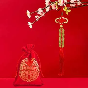 Supla 16 Pcs Chinese Lucky Coins Decorations Feng Shui Coins Ornaments Hanging Good Fortune Coins Ornaments Red Chinese Knot Luck Charm and fu Bags for Asian Lunar New Year 2025 Year of The Snake
