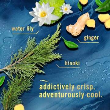 Febreze Small Spaces Air Freshener, Odor-Fighting, Plug In Alternative, Air Fresheners for Home and Bathroom and Kitchen, Ocean Scent, 4 Count (Pack of 1)