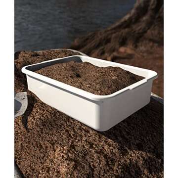 5-Pack Commercial Bus Tubs Box/Tote Box, White Plastic Storage Bin with Handles/Wash Basin Tub (8 Liter)