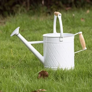 HORTICAN 1 Gallon Watering Can with Wooden Handles, White Watering Can, Metal Watering Can with Remo...
