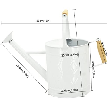 HORTICAN 1 Gallon Metal Watering Can with Removable Spout