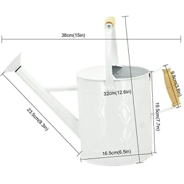 HORTICAN 1 Gallon Metal Watering Can with Removable Spout