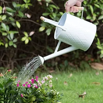 HORTICAN 1 Gallon Metal Watering Can with Removable Spout