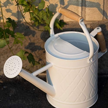 HORTICAN 1 Gallon Metal Watering Can with Removable Spout