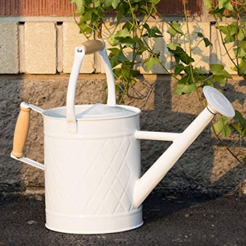 HORTICAN 1 Gallon Metal Watering Can with Removable Spout