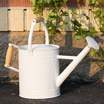 HORTICAN 1 Gallon Metal Watering Can with Removable Spout
