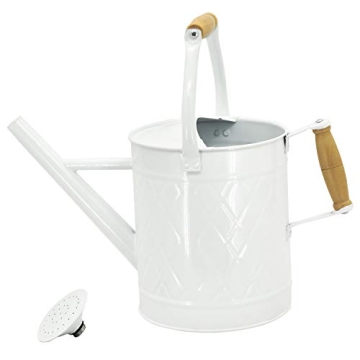 HORTICAN 1 Gallon Metal Watering Can with Removable Spout