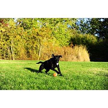 Chuckit! Dog Tennis Ball Dog Toy, Extra Large (3.5 Inch Diameter) for Dogs 100+ Lbs, Shrink Wrap Pack of 2