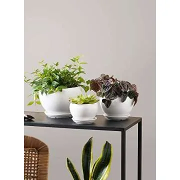 LE TAUCI Plant Pot with Drainage Hole and Saucer, 5.7+4.5+3.5 Inch Ceramic Planter Pots, Small to Large Sized, Flower Pot for Indoor Plants, Garden Patio Decor, Set of 3, White (Plants not Included)