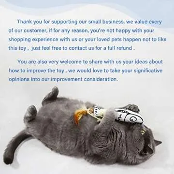 SNOWLOVE Catnip Toys Pack with Feathers & Bells for Cats